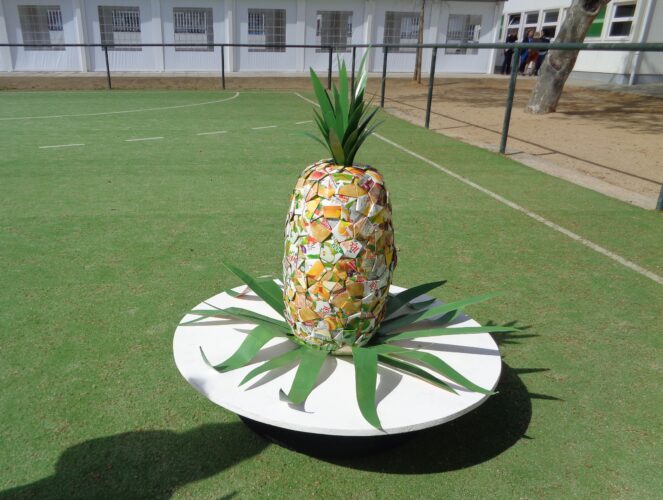 O ananás.