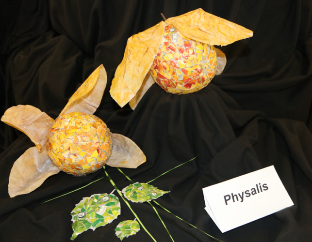 Physalis - composição de frutos (fundo preto)